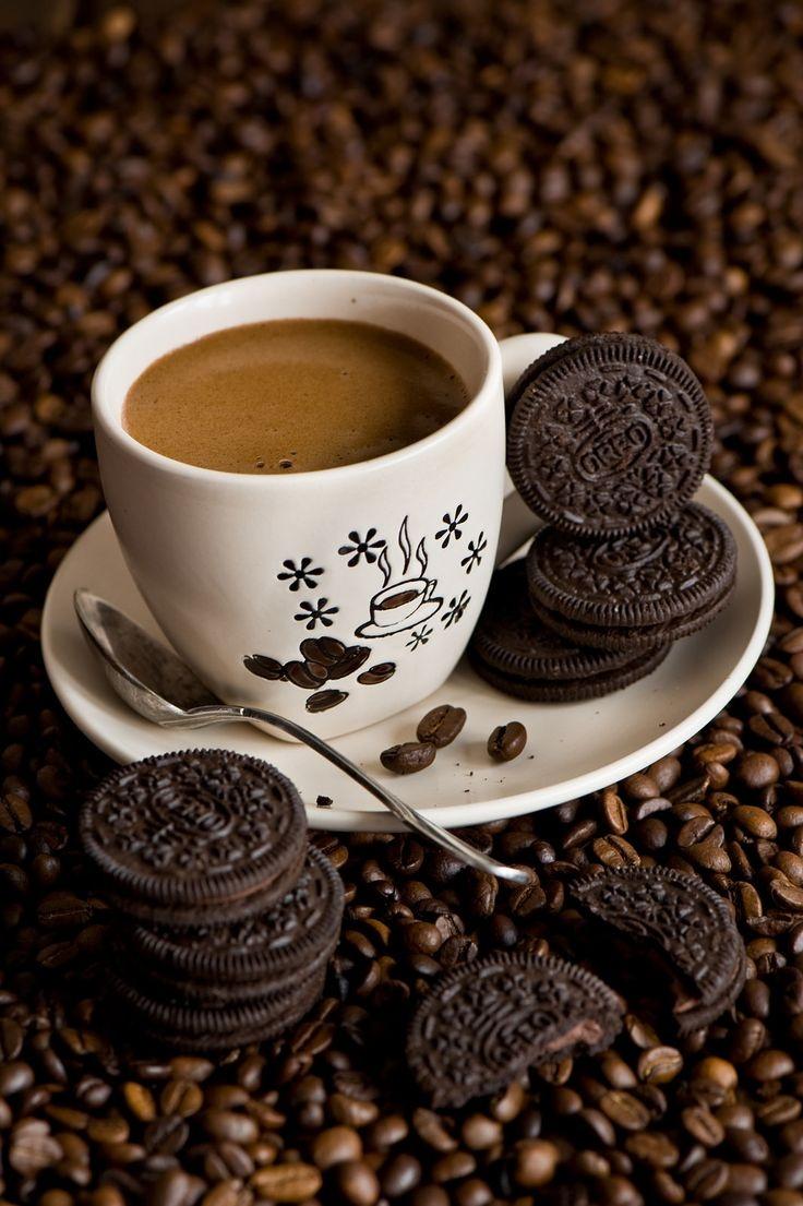 Whispers of the Grove: Earthy Espresso Roast